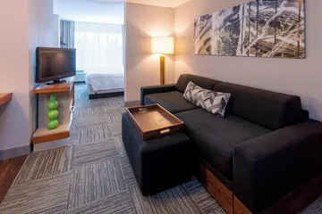 SpringHill Suites by Marriott Rochester-Mayo Clinic / St. Marys
