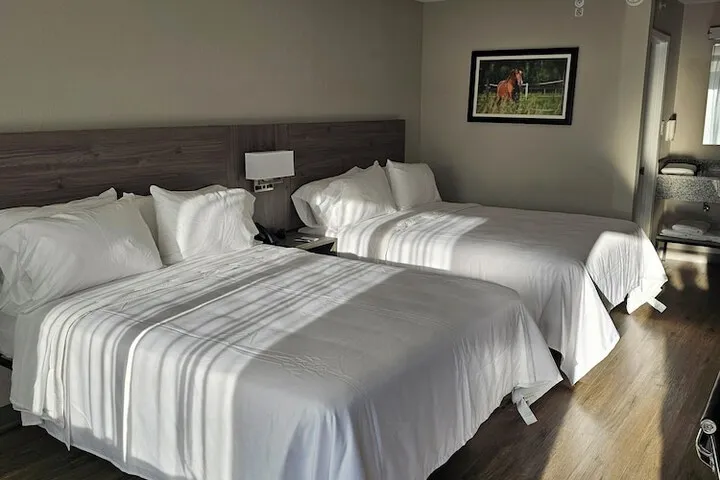 Room 4 of 45
