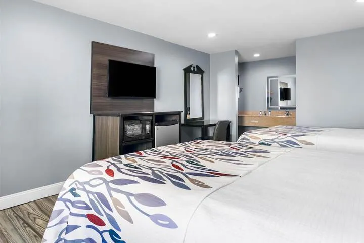 Room 4 of 30