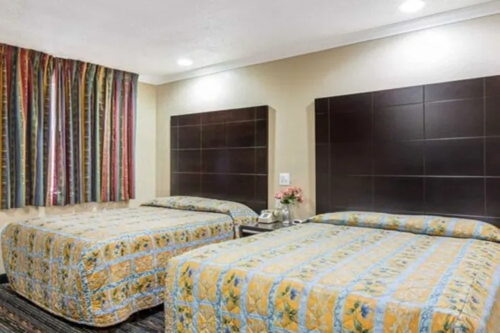 Room 4 of 42